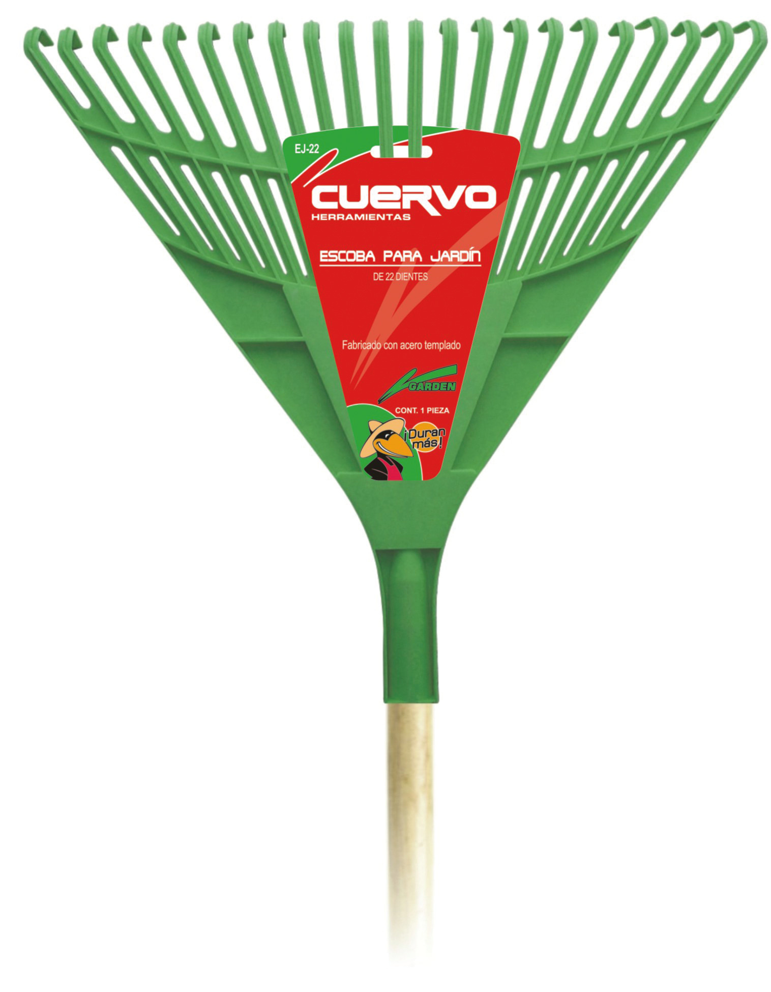 Categoria Accesorios